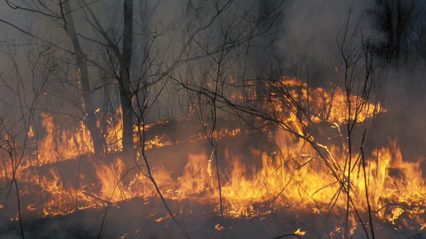 Фото - В России нашли незамеченный пожар на десятки тысяч гектаров