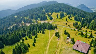 Фото - Офисы в деревне: в Болгарии растёт спрос на загородную недвижимость