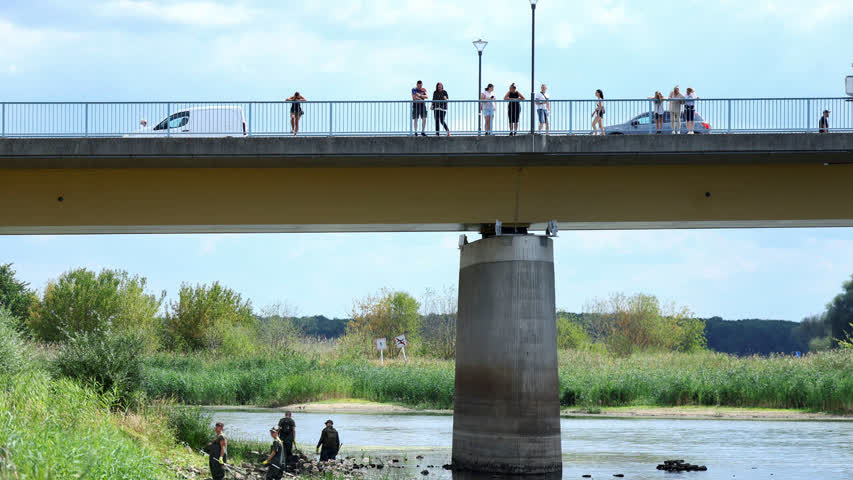 Фото - В пересохших реках Европы нашли предвестников скорых бед